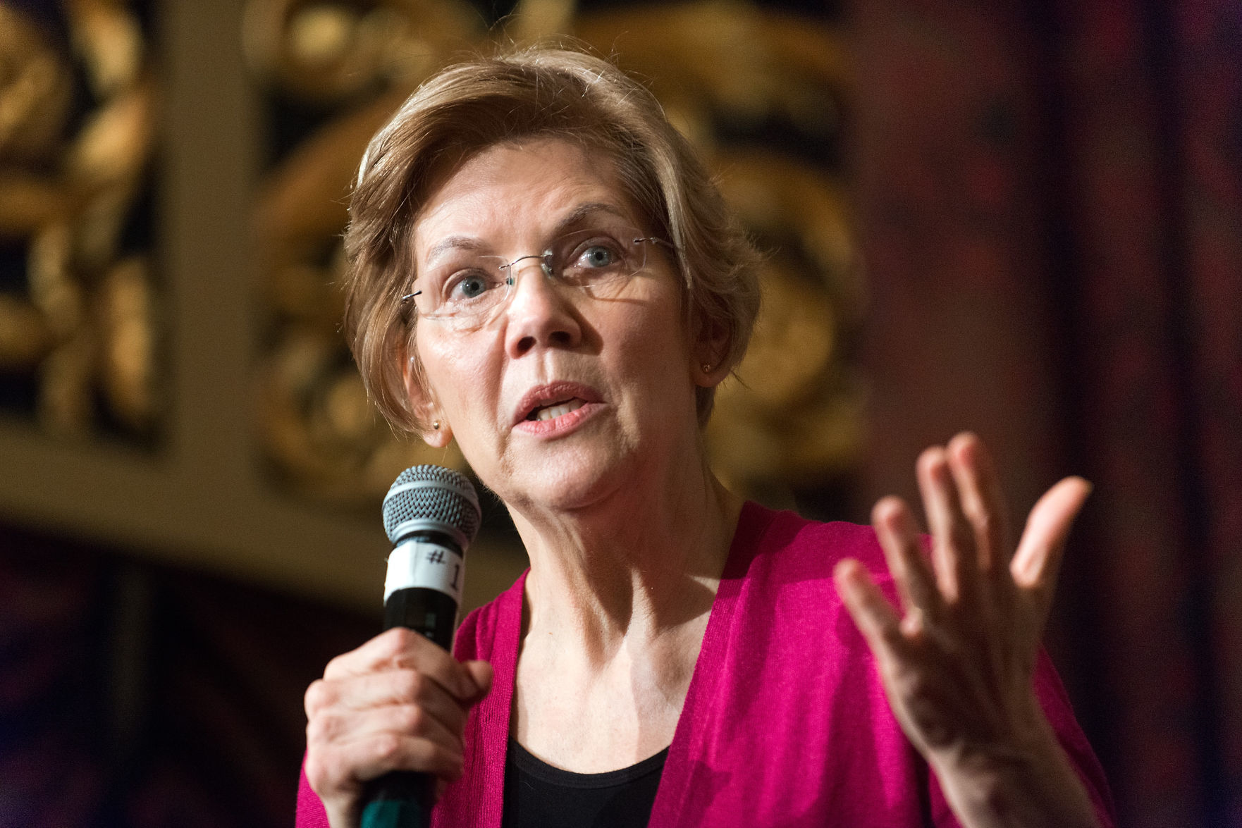 DEM Elizabeth Warren